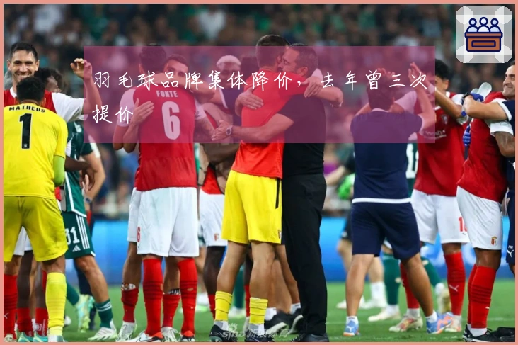 羽毛球品牌集体降价，去年曾三次提价