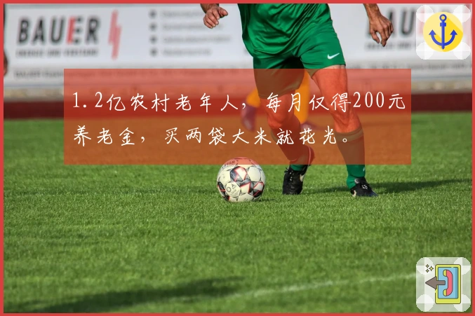 1.2亿农村老年人，每月仅得200元养老金，买两袋大米就花光。