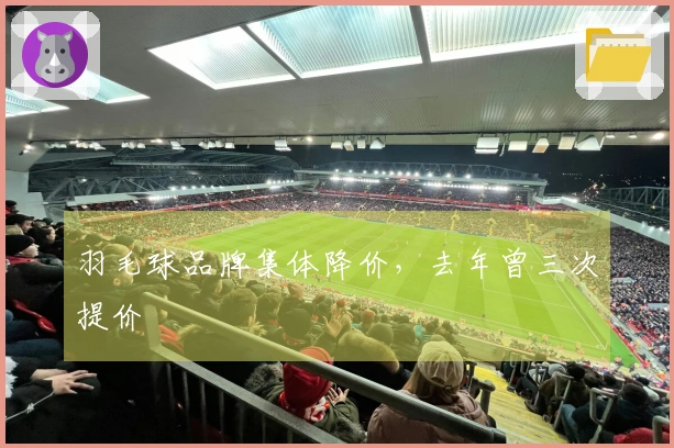 羽毛球品牌集体降价，去年曾三次提价